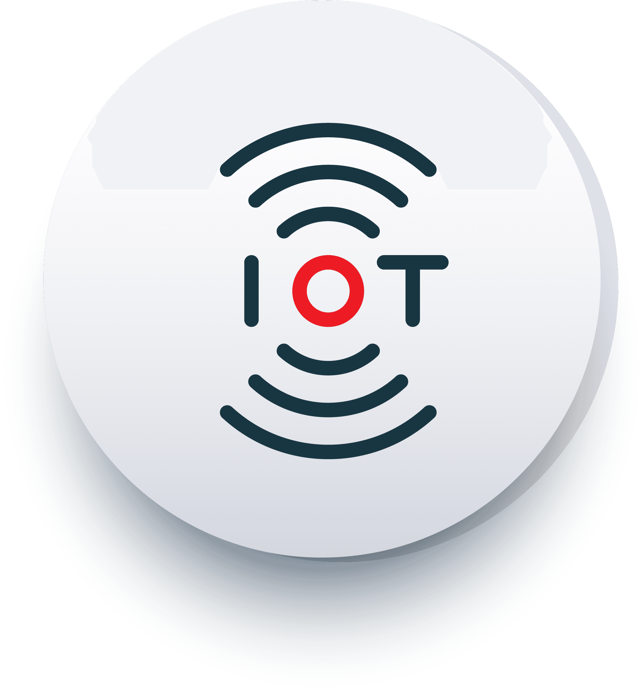 IoT